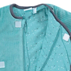 Gigoteuse En Velours Winnie L'Ourson Disney Pour Bébé Garçon 7 Gigoteuse En Velours Winnie L'Ourson Disney Pour Bébé Garçon -Orchestra ANAO4I VEM 3 X