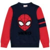 Pull En Tricot Motif Spider-Man En Jacquard