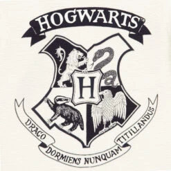 T-shirt Manches Longues Print Harry Potter Hogwarts Pour Enfant Garçon -Orchestra HGAMCM ECR 3 X