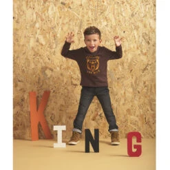 T-shirt Manches Longues à Capuche Print Lion Pour Enfant Garçon -Orchestra HGAMEK MAR 11 X