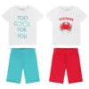 Lot De 2 Pyjamas Courts Pour Garçon