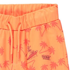 Ensemble De Plage T-shirt + Short Print Bugs Bunny Looney Tunes Pour Garçon 10 Ensemble De Plage T-shirt + Short Print Bugs Bunny Looney Tunes Pour Garçon -Orchestra HGAMKG BLA 4 X