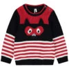 Pull En Tricot à Rayures Motif Raton Laveur