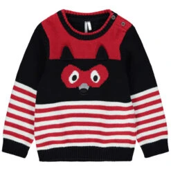 Pull En Tricot à Rayures Motif Raton Laveur