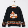 Pull En Tricot à Motif Raton Laveur En Bouclette