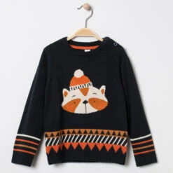 Pull En Tricot à Motif Raton Laveur En Bouclette