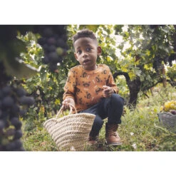 Sweat Imprimé En Molleton Contrecollé De Velours Pour Bébé Garçon -Orchestra HLAMFB MAR 11 X