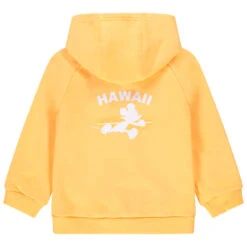 Orchestra -Orchestra HLAMLY JAM 2 X