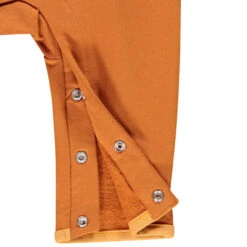 Combinaison Longue à Capuche Motif Tigre Pour Bébé Garçon 7 Combinaison Longue à Capuche Motif Tigre Pour Bébé Garçon -Orchestra HNAY7O MAR 3 X